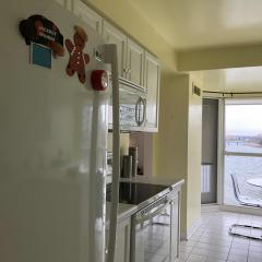 Before Burlington condo renovation by Margot McTavish.