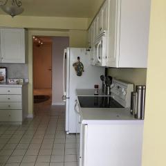 Before Burlington condo renovation by Margot McTavish.